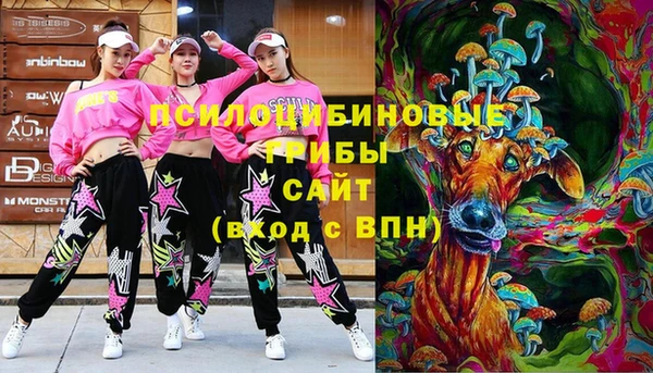 хмурый Горняк