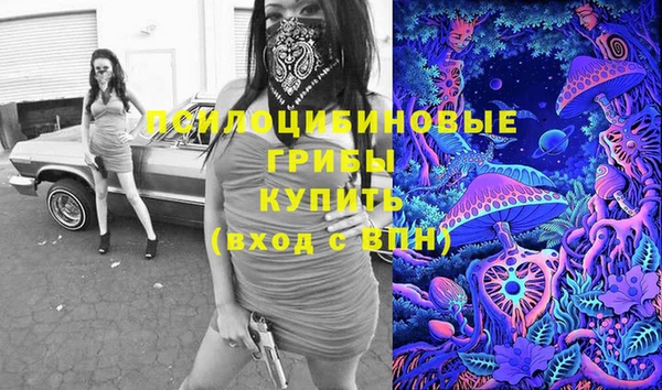 хмурый Горняк