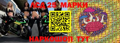 apvp Гусев