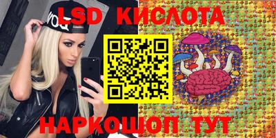 apvp Гусев