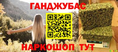 индика Гусиноозёрск