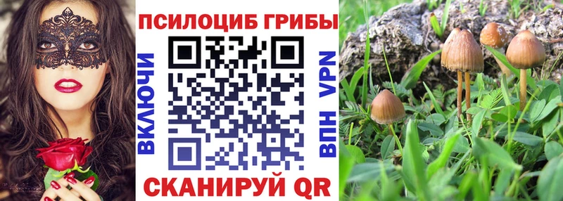 Псилоцибиновые грибы ЛСД  hydra как зайти  Ноябрьск 